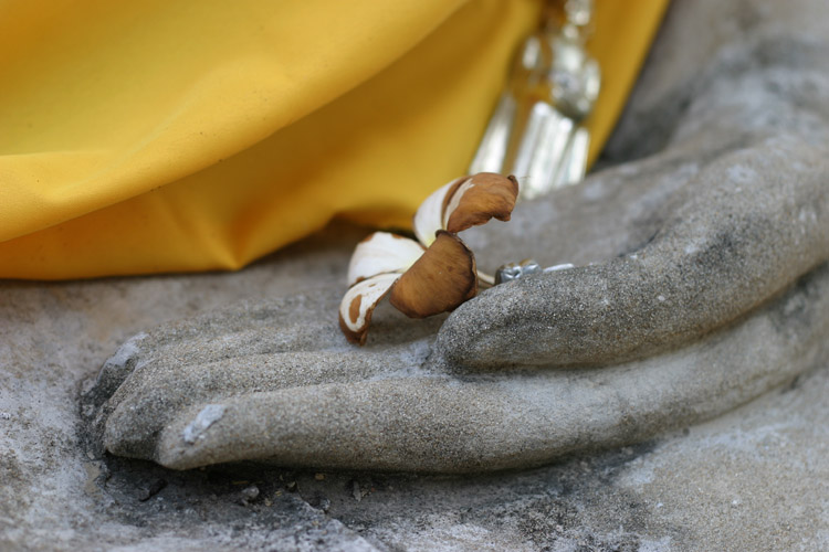 Buddhas Hand