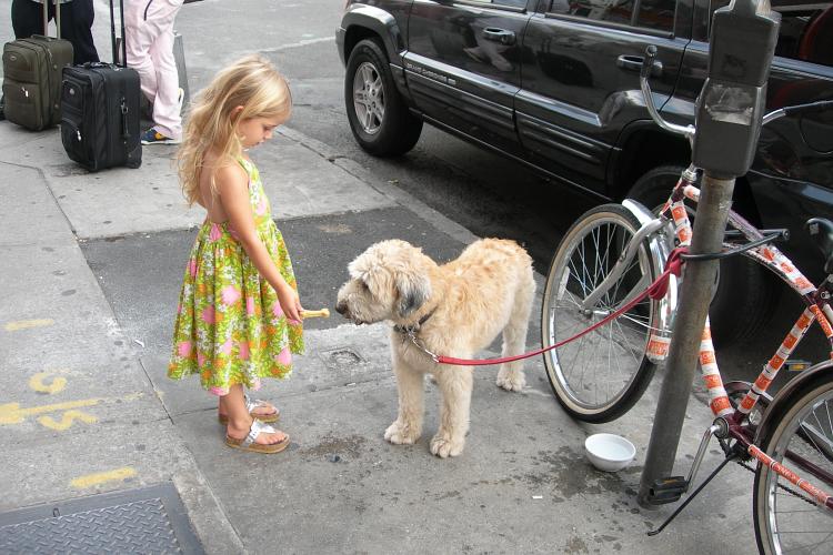 A girl feeding a bone to her dog
