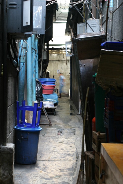 Guy in an Alley