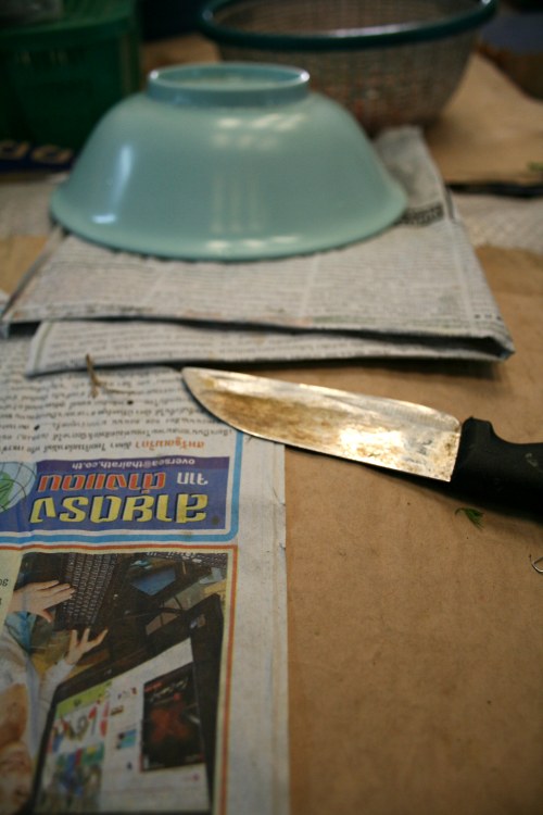 Knife and Newspaper