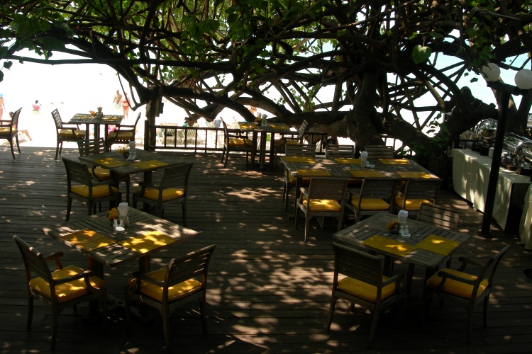 Ao Phrao Restaurant