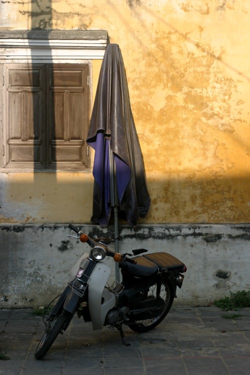 Bike, Umbrella, Window