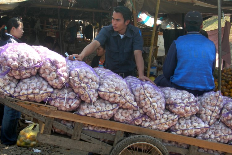 Garlic Seller