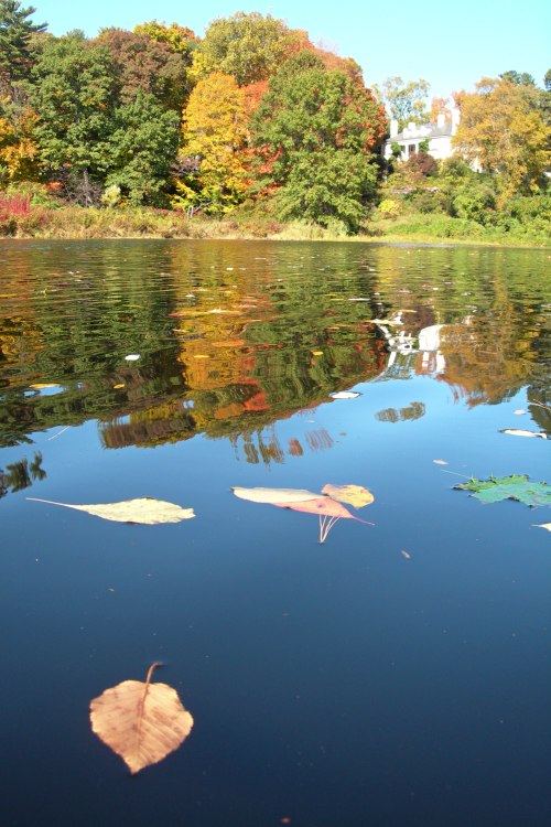 Smith Pond Reflection