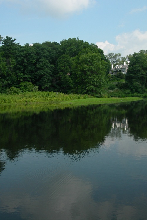 Smith Pond in the Summertime