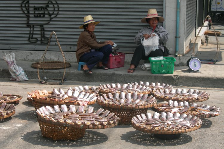 Women Drying Fish